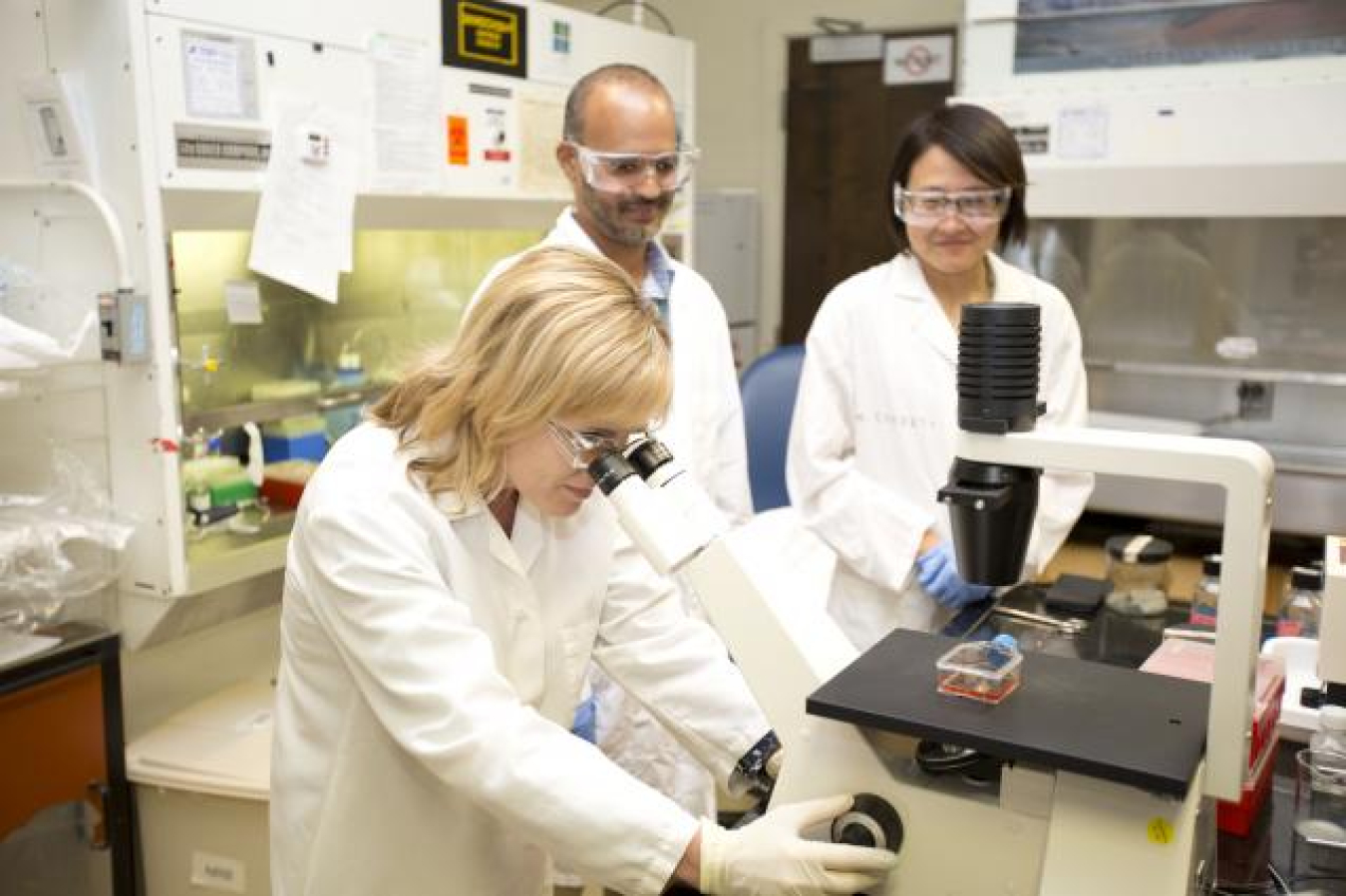 LLNL scientist Monica Borucki from the Lab's Biosciences and Biotechnology Division looks at cell lines used for viral propagation as members of her multidisciplinary research team, Jonathan Allen and Haiyin Chen look on. 