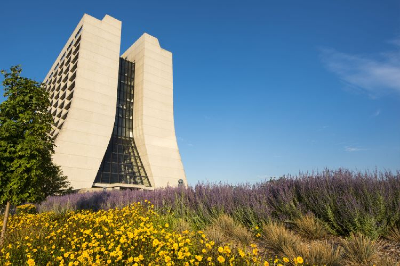 A building on the Fermilab campus with wildflowers in the foreground