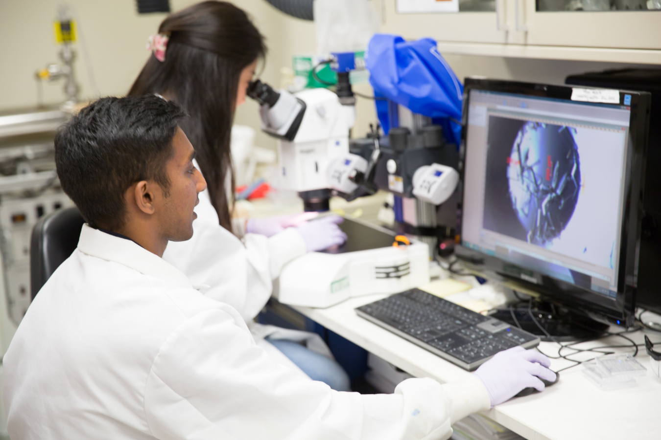 Student looks at a sample under a microscope