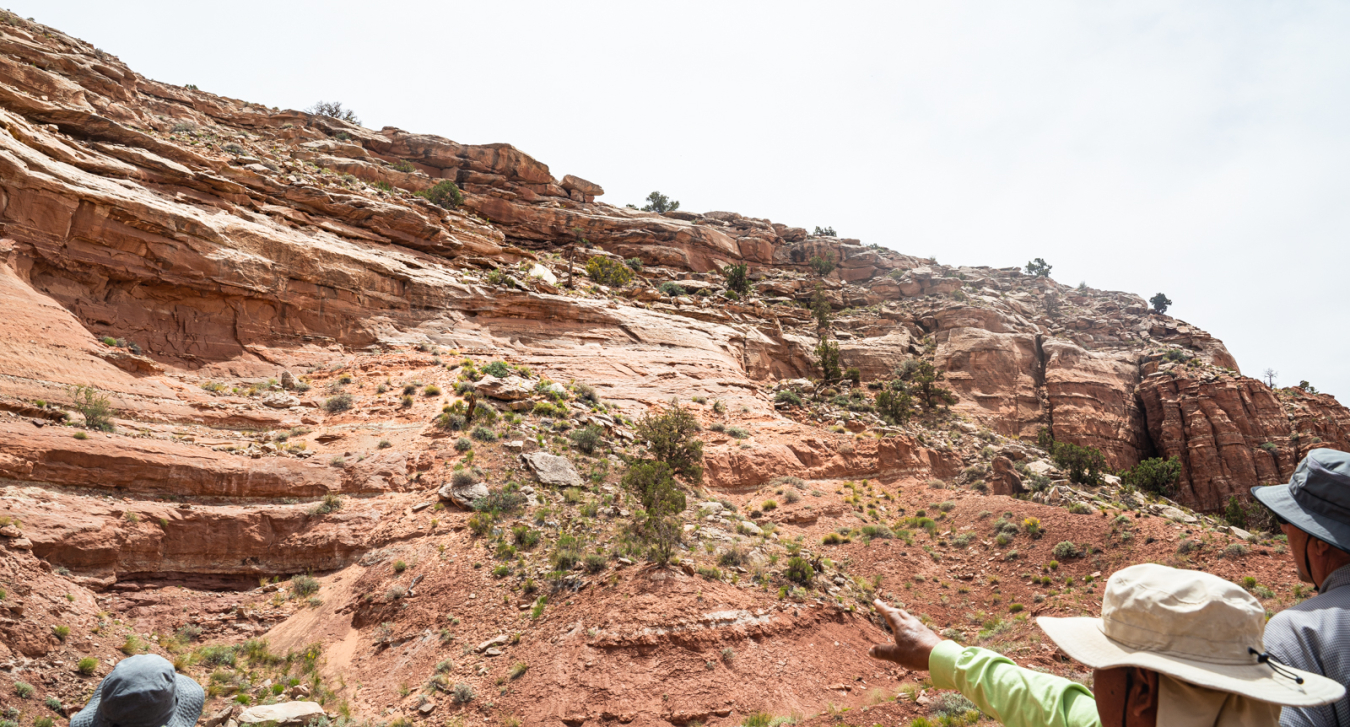 Navajo Nation Reclamation Area