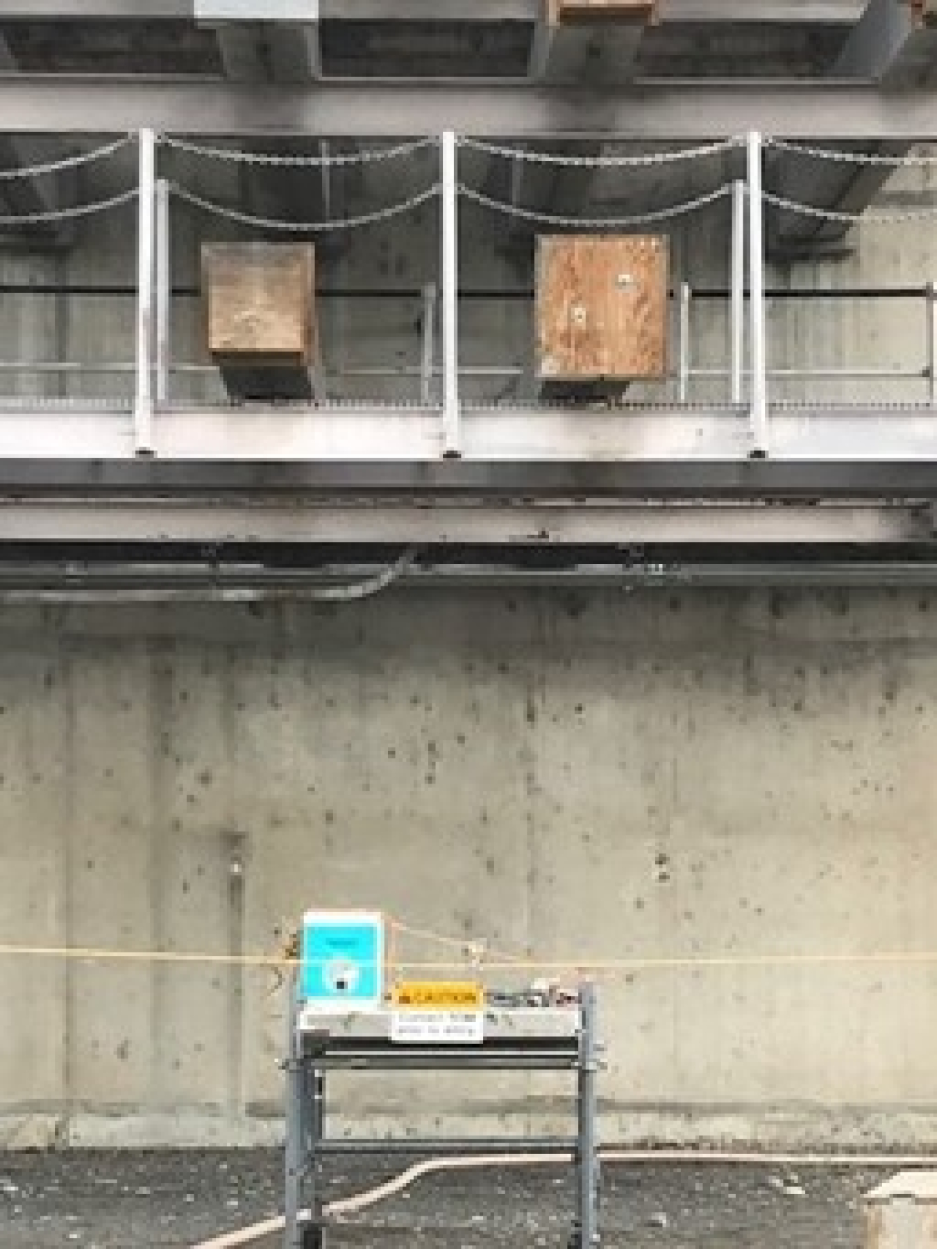 Earlier this spring, workers placed bee boxes and attractant below a structure slated for demolition in Hanford’s K Reactor Area, in hopes of capturing native bees when they swarmed from a colony. The colony was found inside compartments of the structure, limiting access to remove them directly.