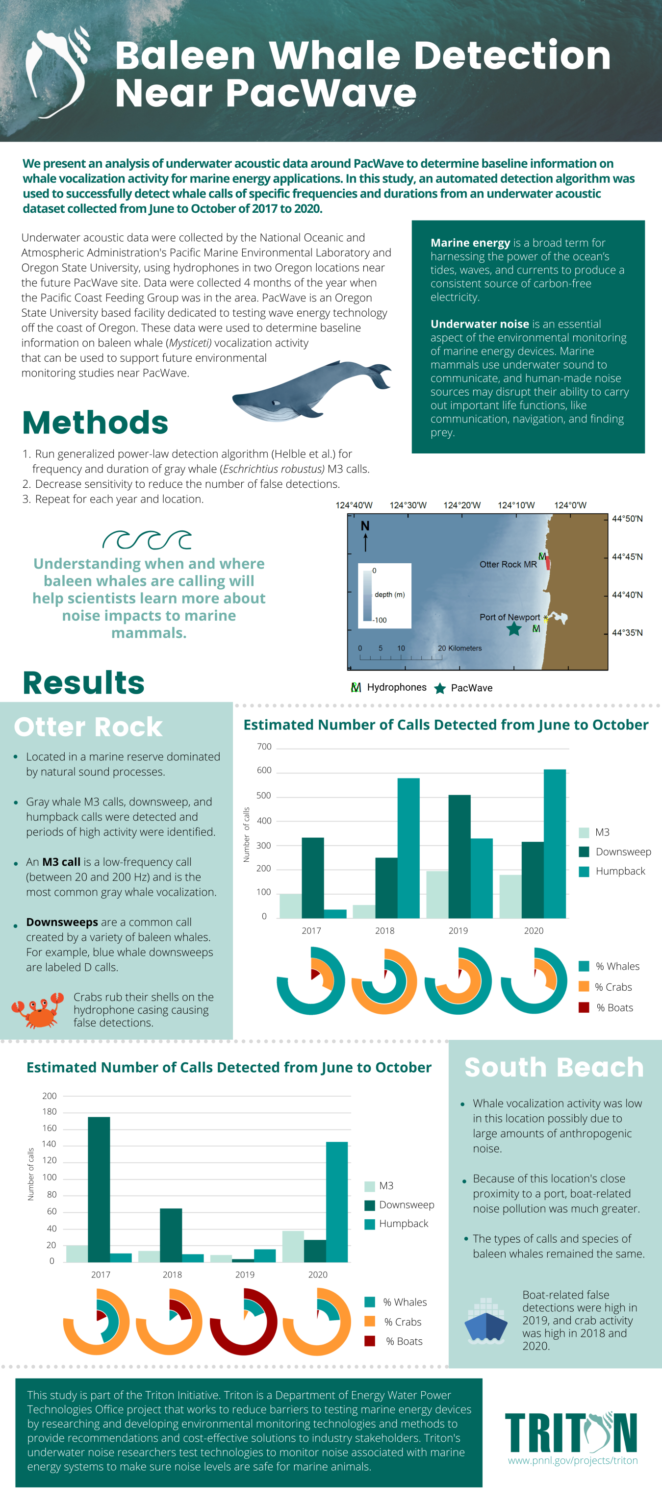 Colorful infographic about Baleen Whale Detection near PacWave