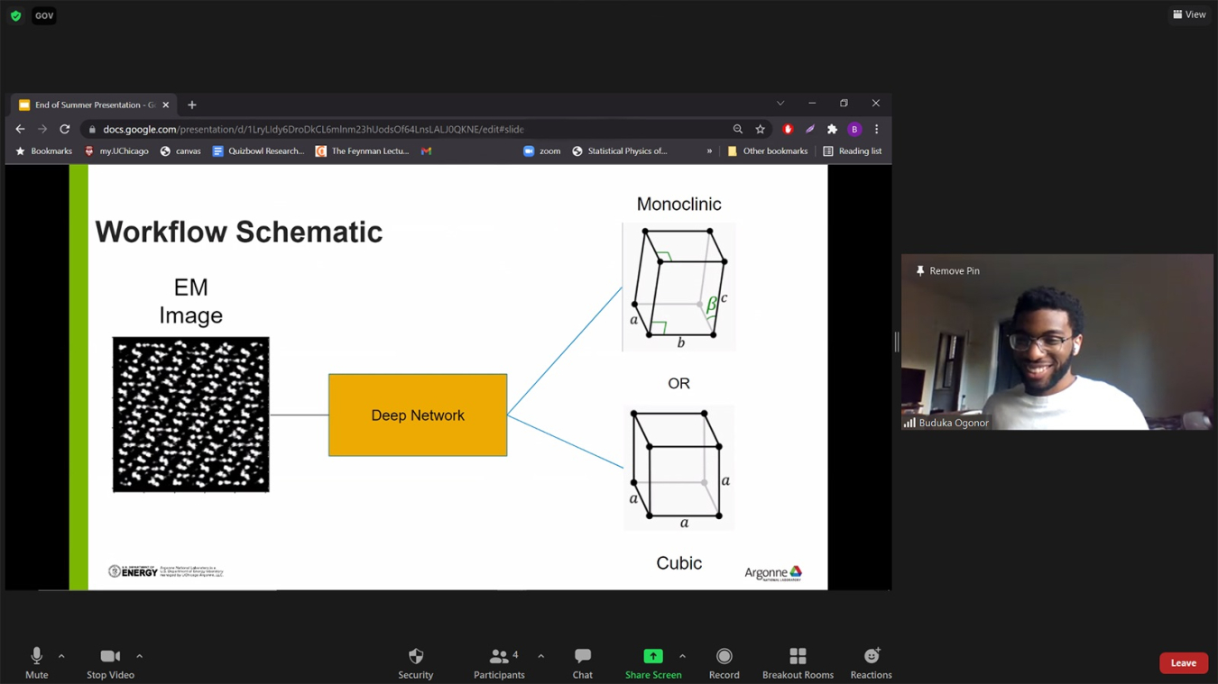 Screen capture of a virtual meeting. The presentation is on the left, titled "Workflow Schematic" with a diagram connecting two boxes to two cube images. The young presenter is on the right, wearing a white t-shirt and glasses and smiling excitedly. 