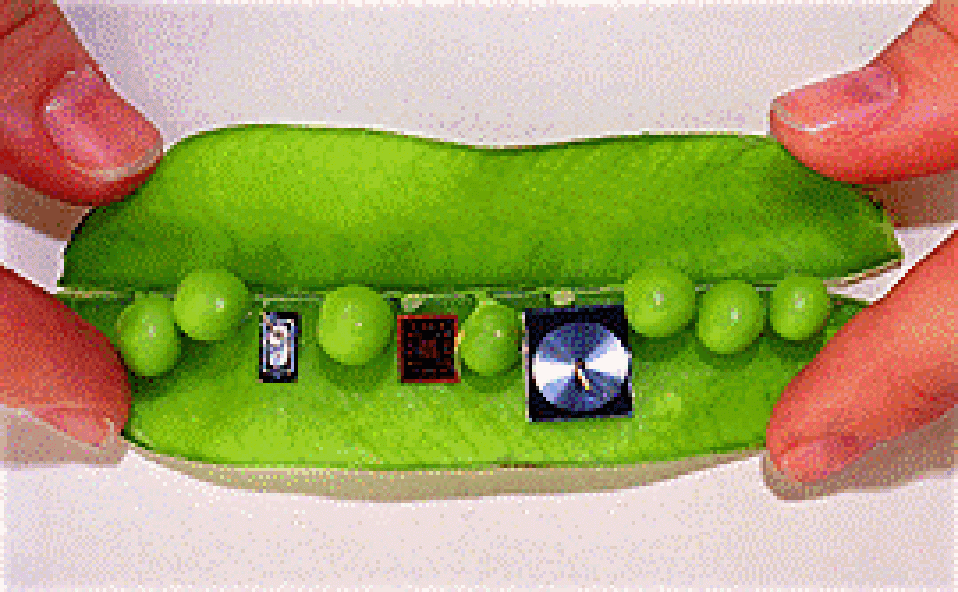 The three principal components of Sandia's micro chem lab for gas-phase detection and analysis are small enough to fit easily inside a snow-pea pod. The left-most component is the surface acoustic wave sensor array, the lab's detection mechanism. The center one is a preconcentrator that absorbs or adsorbs chemical vapors. The right one that looks like a tiny CD is a miniature gas chromatograph column. Together they can collect, concentrate, and analyze a chemical sample weighing less than a single bacterium