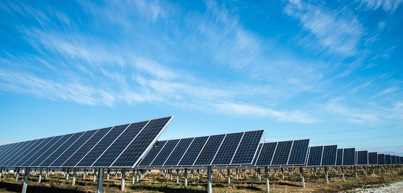 A field of solar panels with the blue sky beyond.