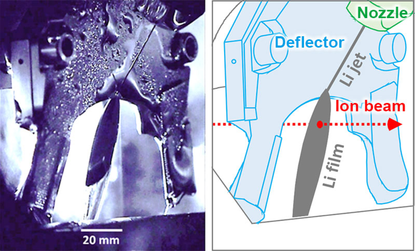 Left: Photograph of the liquid-lithium film formed in the FRIB beamline chamber. The extremely smooth surface of the lithium film appeared as a mirror. Right: Corresponding illustration with labels for clarity.