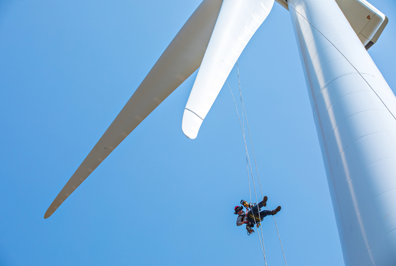 A technician does a final check on the end of a wind turbine blade at the National Renewable Energy Laboratory’s Flatirons Campus after attaching sensors that will help inform efforts to protect wildlife.