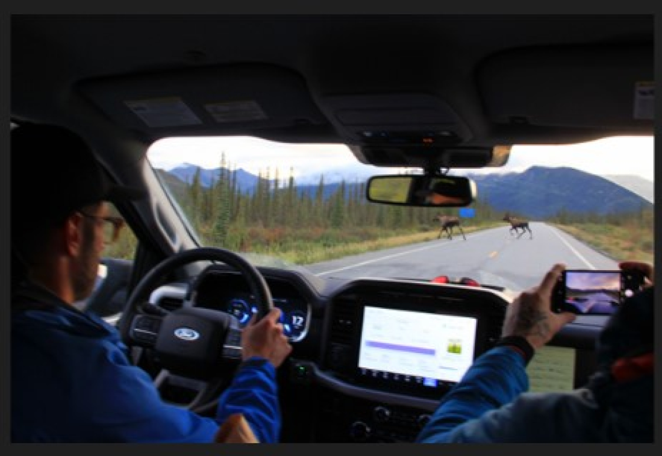 Tim Leach drives along the Dalton Highway while moose cross the road. 