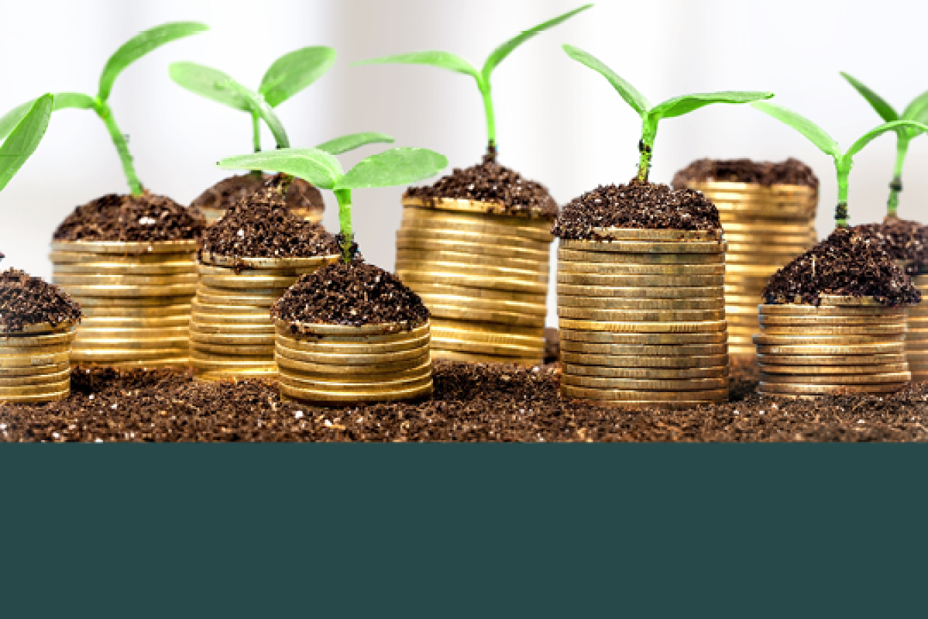 Plants growing out of coins. 