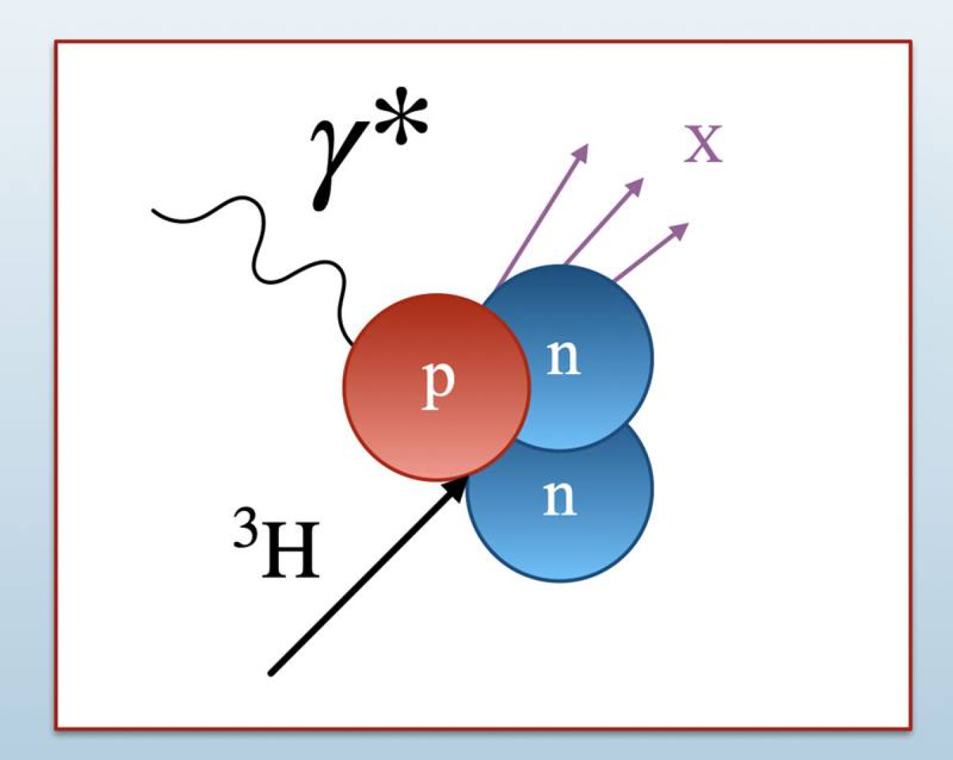 Electrons probe the structure of a proton or neutron by way of a virtual photon. This image shows a virtual photon (γ*) interacting with a proton or neutron inside a tritium nucleus, which contains one proton and two neutrons.