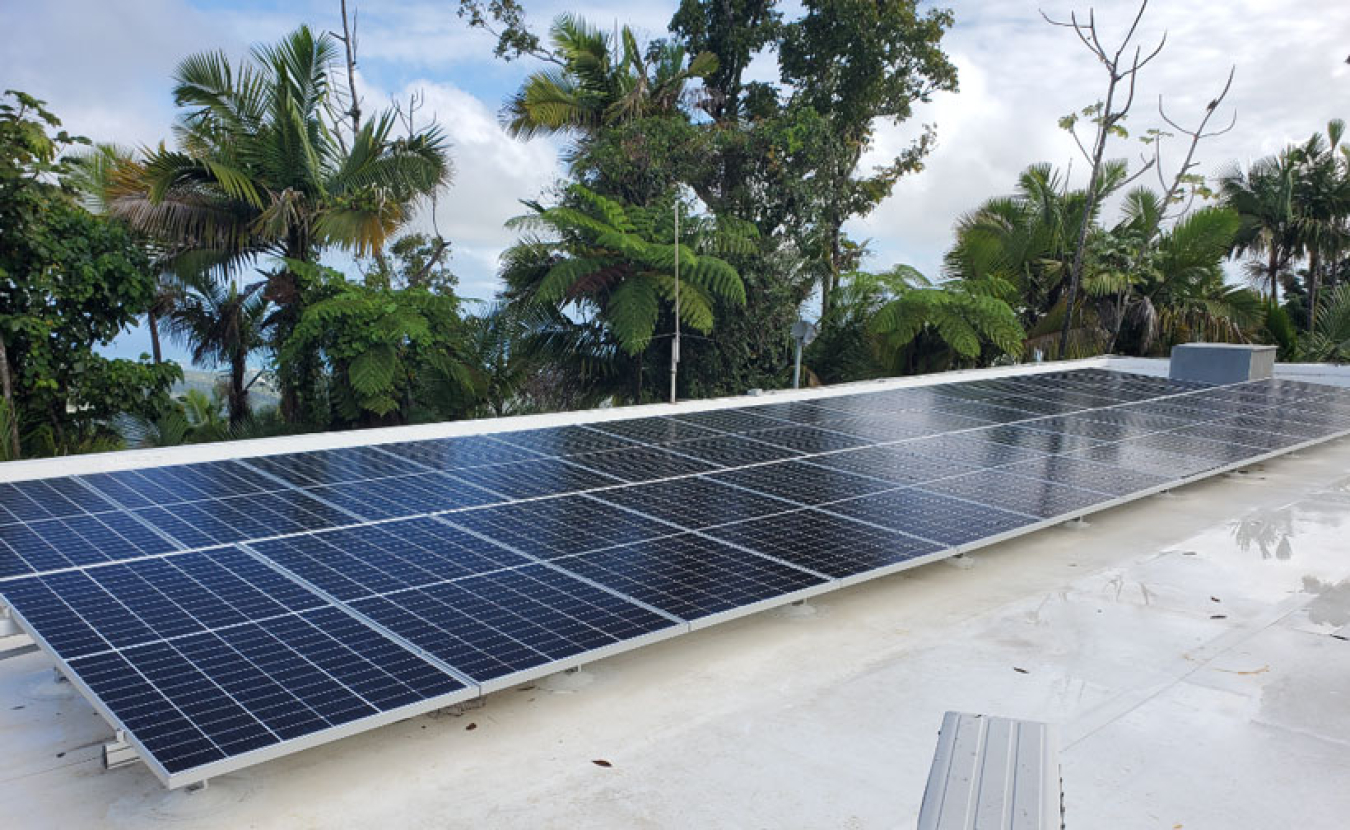 Solar panels on top of a roof with tropical trees in the backround.