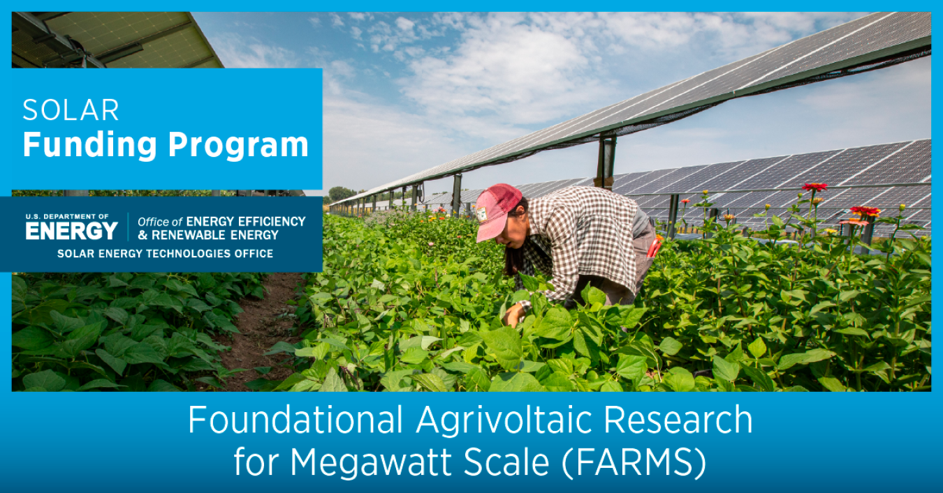 a farm worker tends to her crops underneath a photovoltaic array