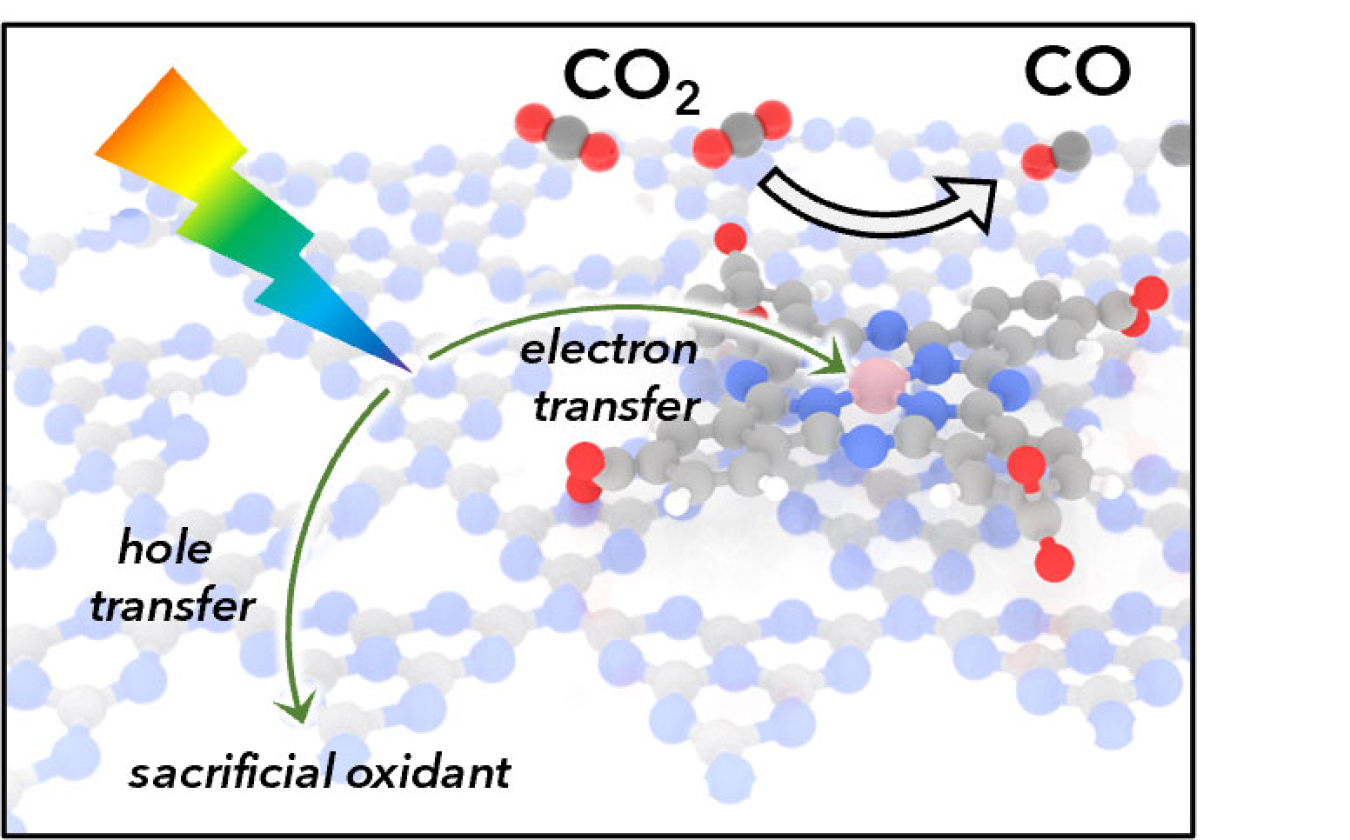 Depiction of light absorption by carbon nitride followed by electron transfer to a cobalt catalyst. The catalyst then reduces CO2 to CO. Acid-base interactions between the carbon nitride semiconductor and catalyst promote even coverage.