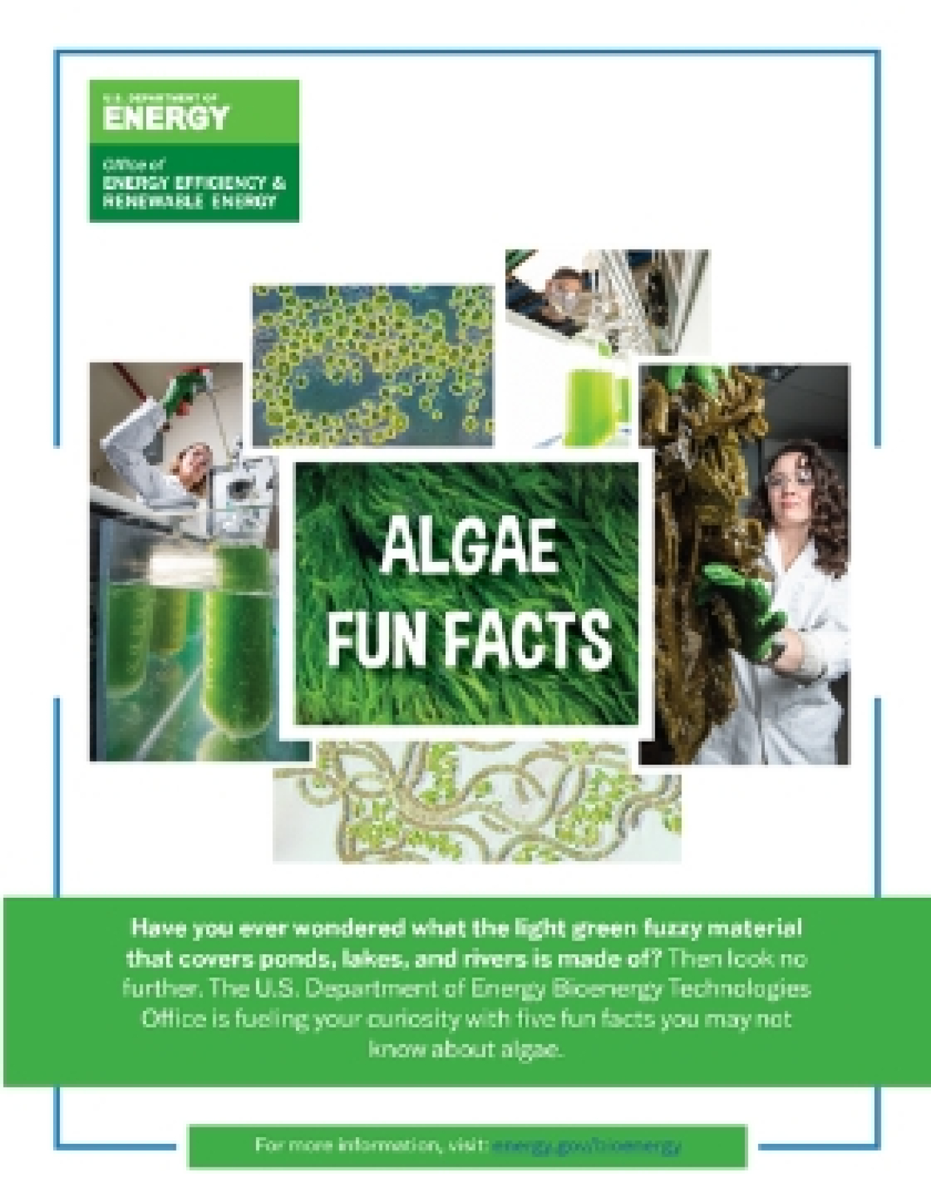 Cover for BETO's STEM Algae Fact Sheet