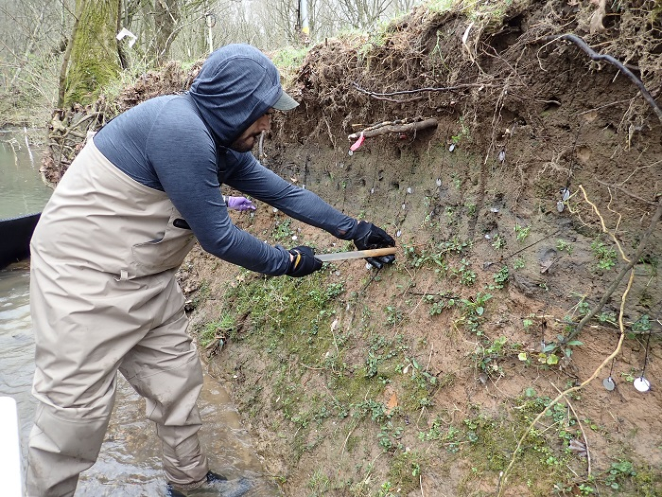 Oak Ridge National Laboratory researchers have deployed sorbents, which are materials that can absorb mercury in the environment. This technology can immobilize this slippery and elusive element before it disperses into the environment. 