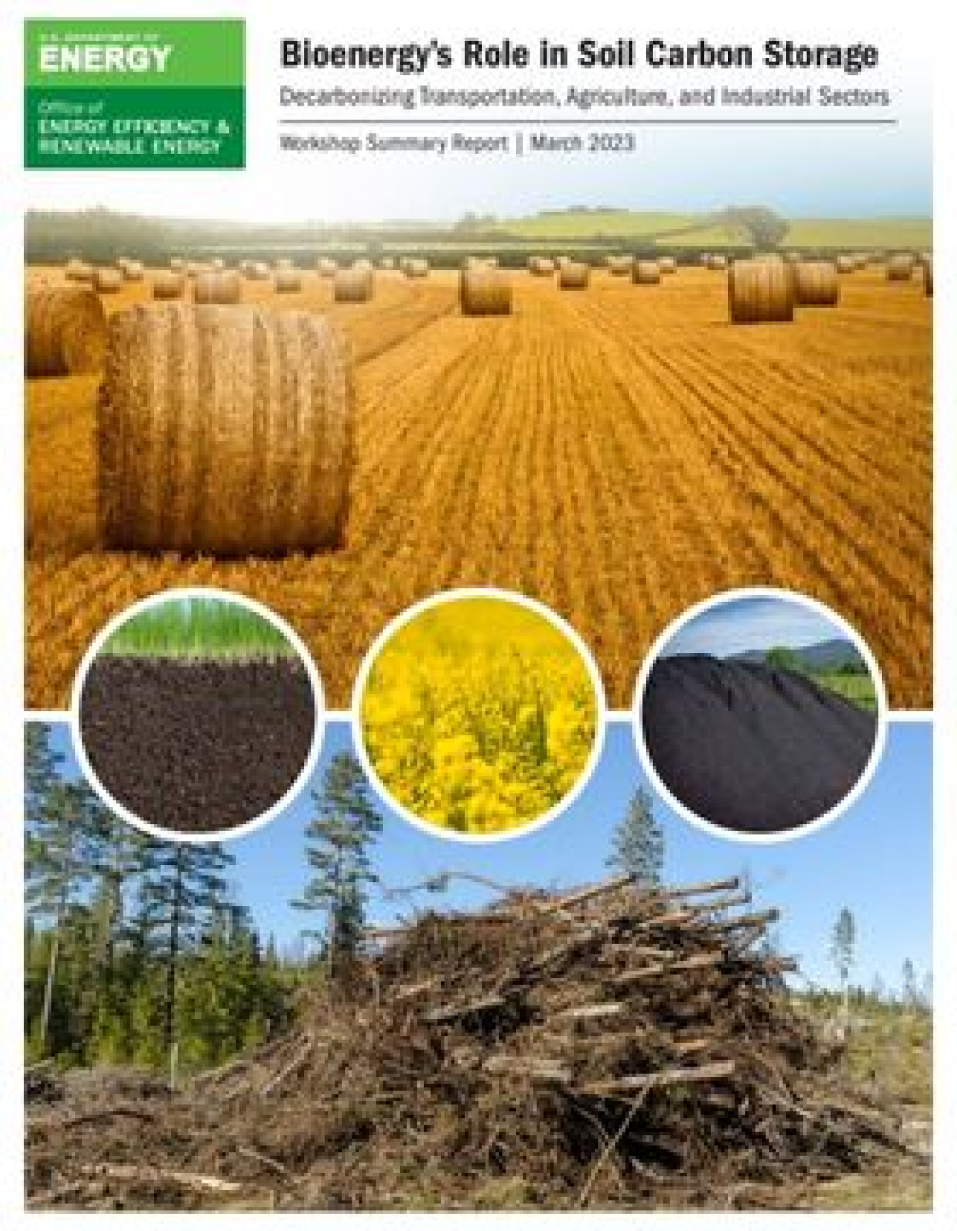 Bioenergy’s Role in Soil Carbon Storage Report Cover