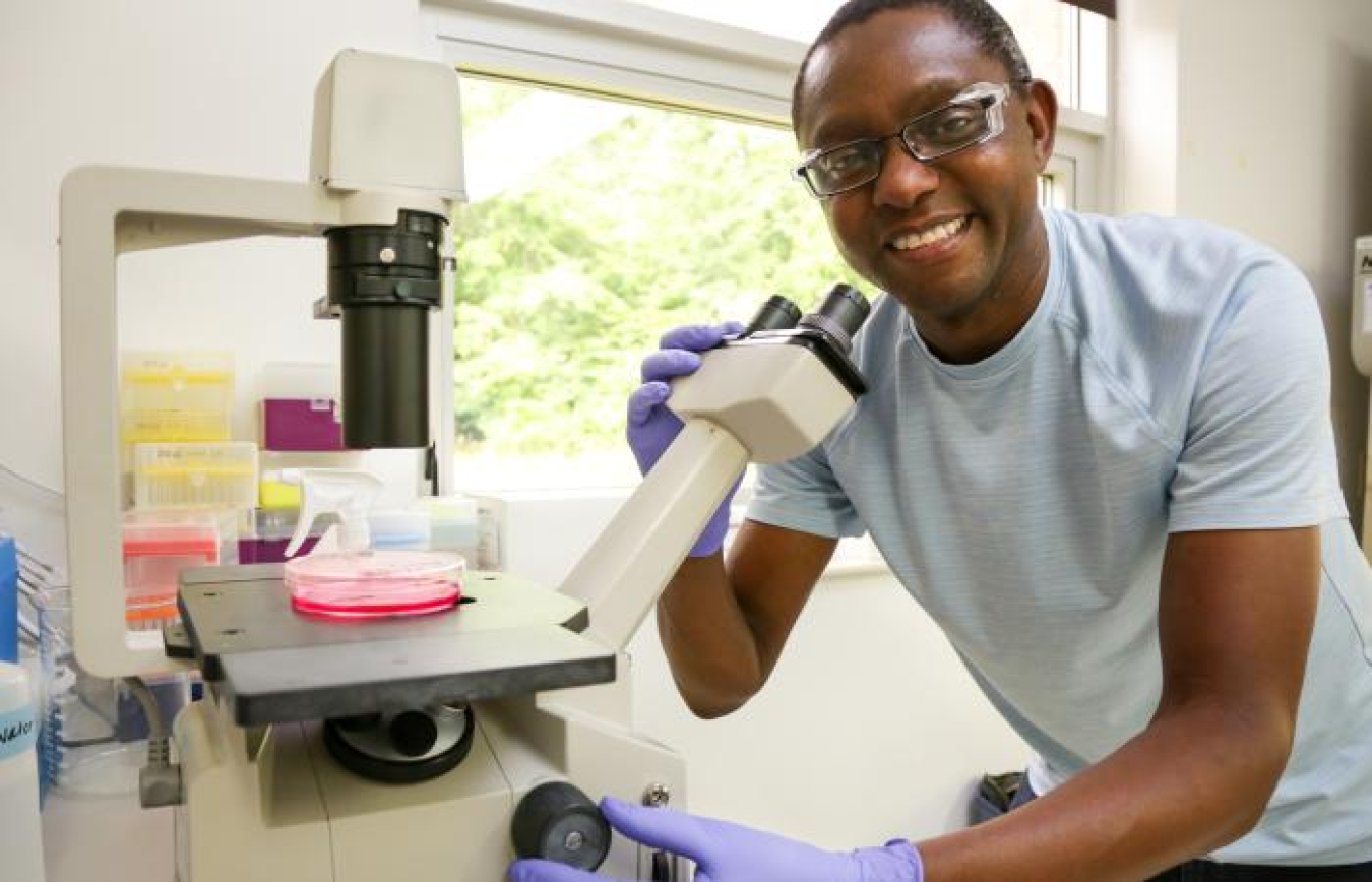 Geneticist Wellington Muchero leads the research team at ORNL that has linked the PAN protein domain to tumor growth in humans and plant-microbe interactions in plants.