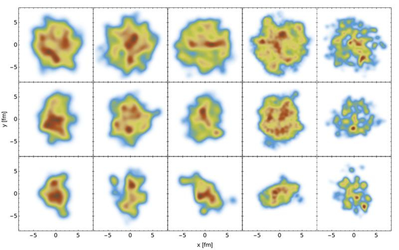 The initial state energy density distribution in the transverse plane for various choices of the model parameters.