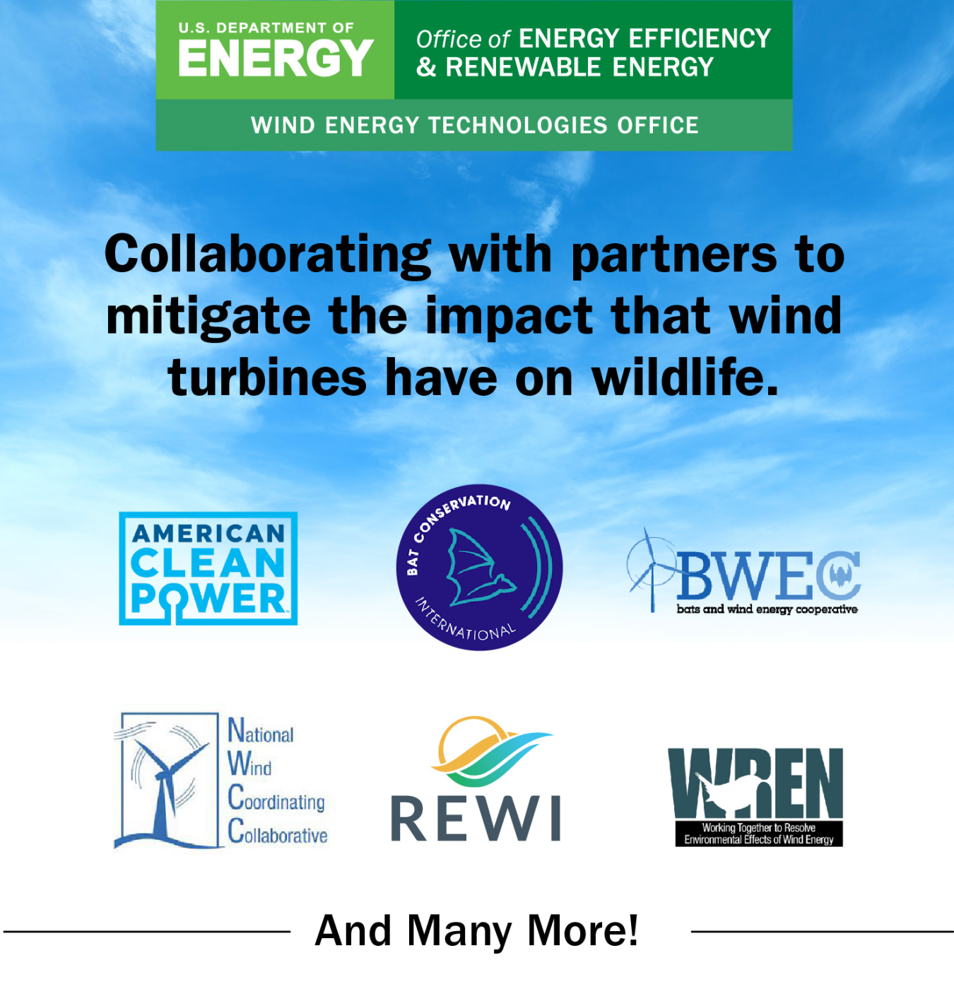 "Collaborating with partners to mitigate the impact that wind turbines have on wildlife."