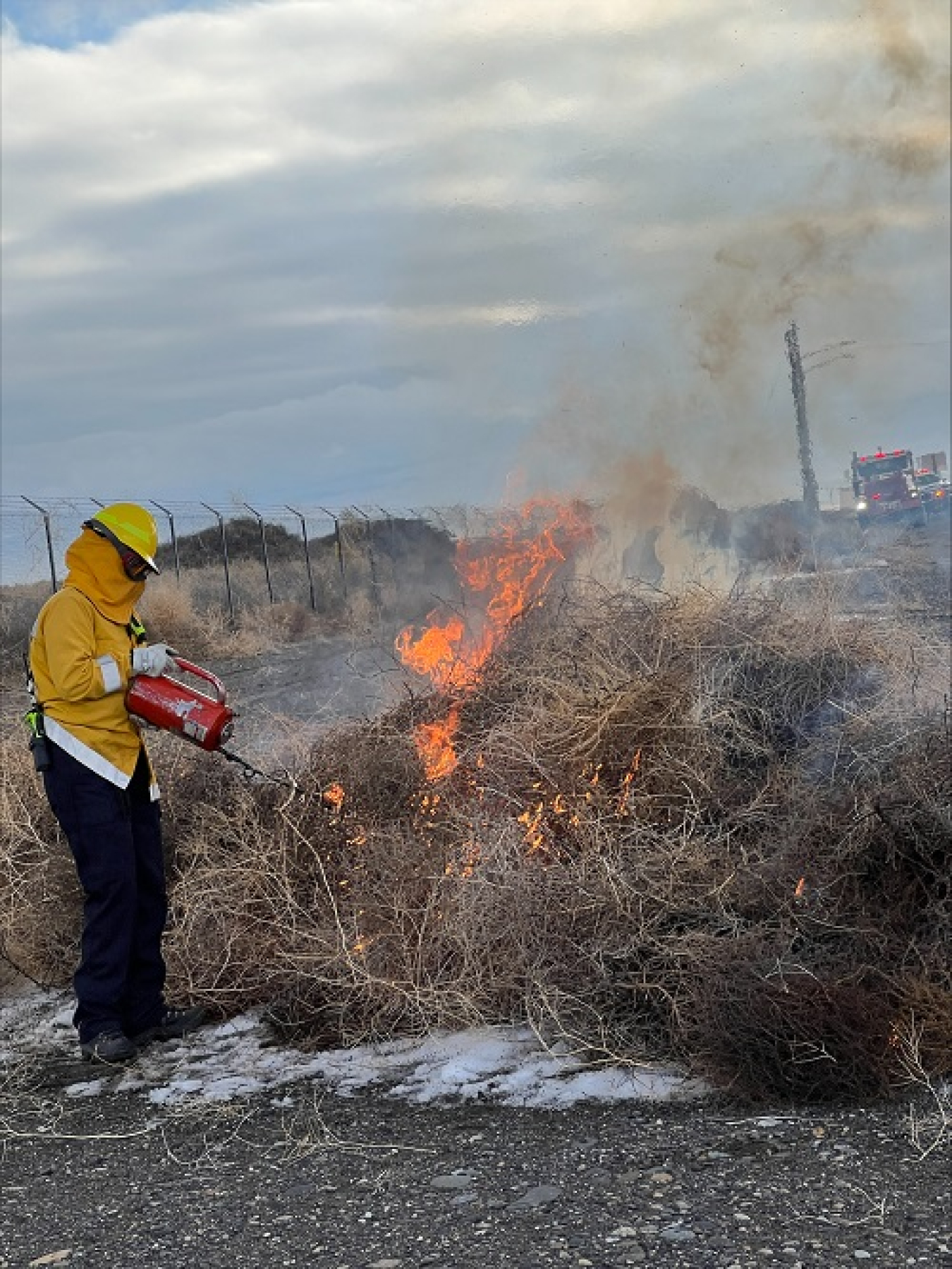 A Hanford firefighter burns excess tumbleweeds on the Hanford Site as part of winter and spring fire prevention efforts to reduce the risk of summer wildfires.