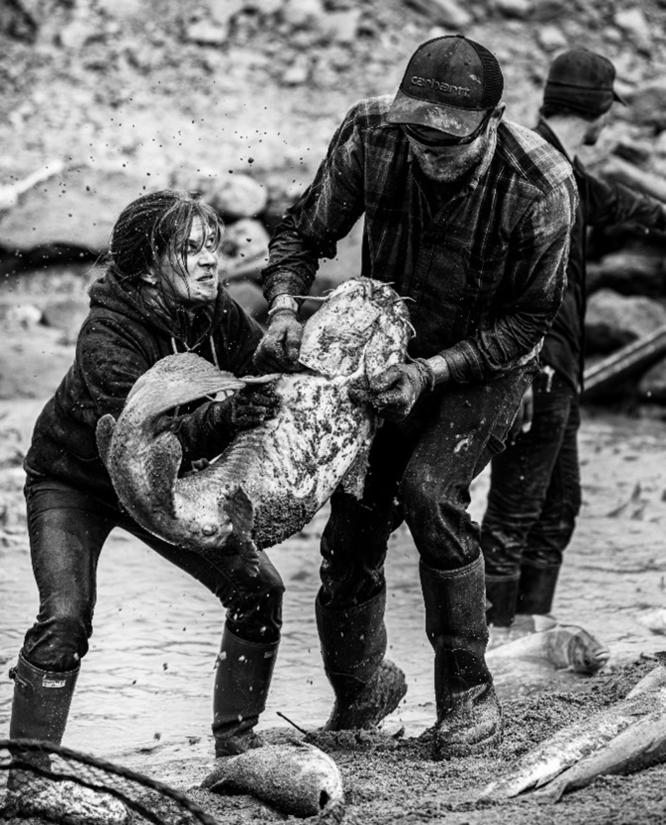 Sarah and a fellow worker work together to carry a child-sized catfish over a muddy river bank.