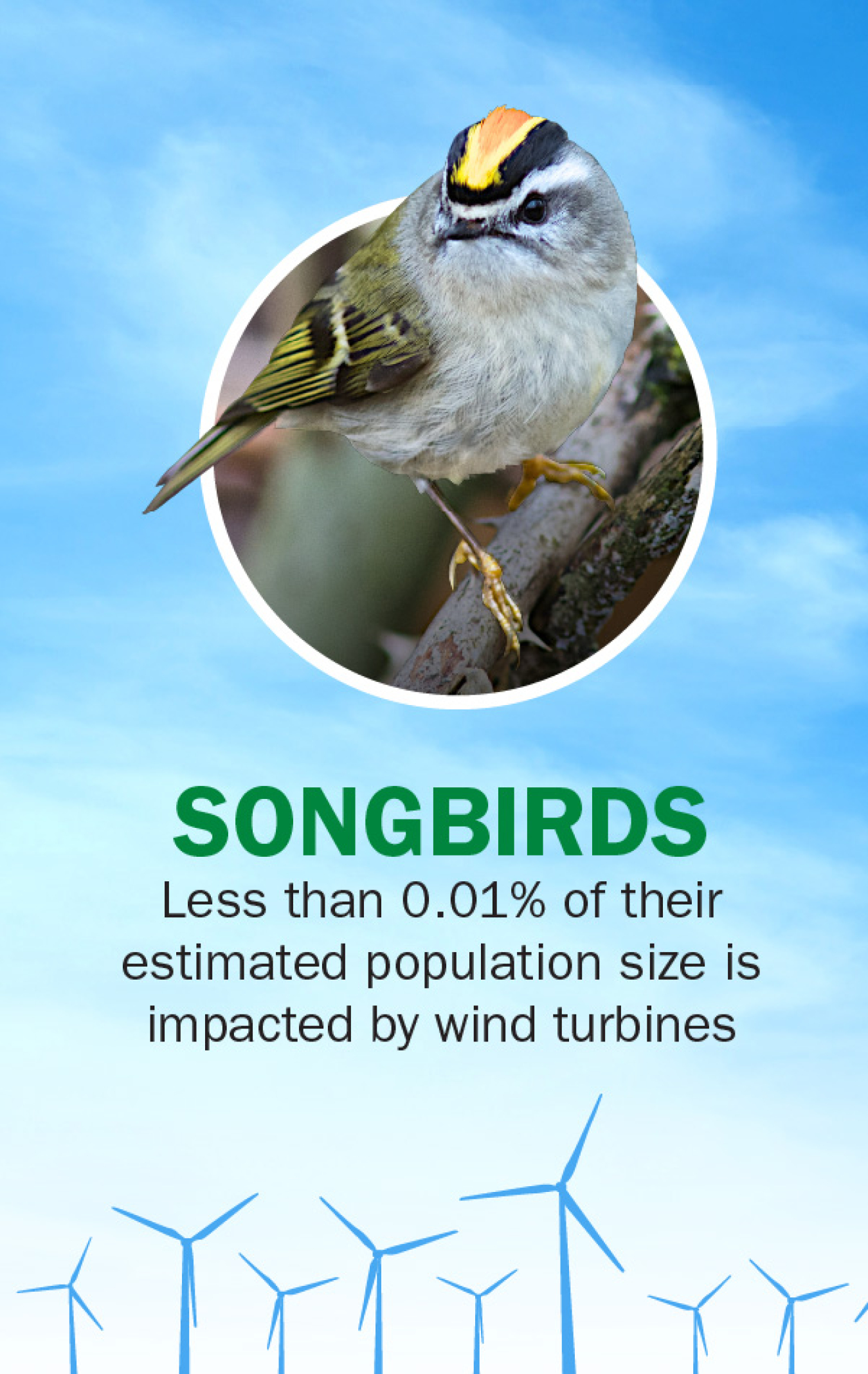 "SONGBIRDS - Less than 0.01% of their estimated population size is impacted by wind turbines."