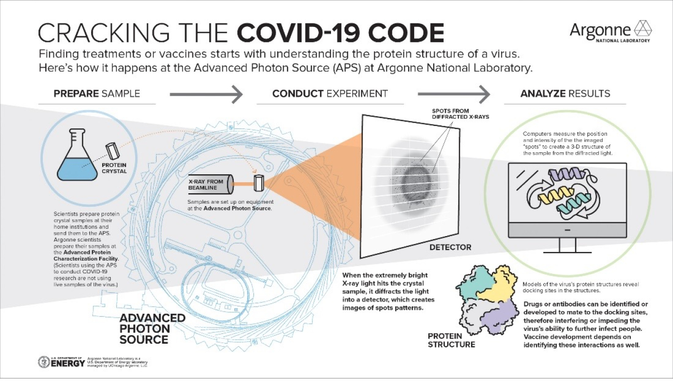 Cracking the COVID-19 Code