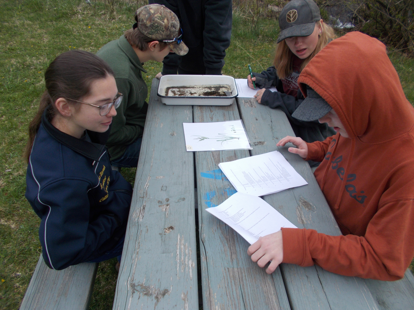 Students work on an exam at the aquatics station at this year’s Cattaraugus County Envirothon. Nine teams from various schools competed in the environmental competition that tested their knowledge of aquatics, forestry, soils, wildlife and a special current issue.