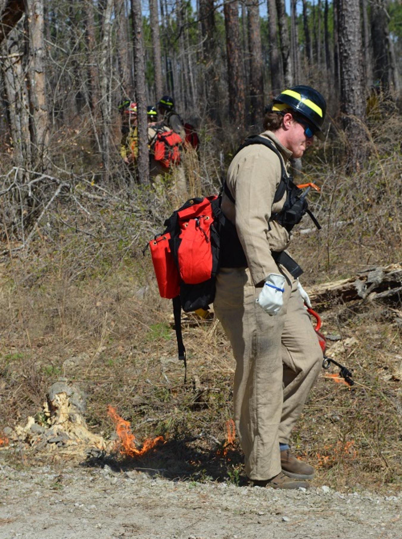 A University of Georgia student carefully lights a test burn before joining other participants to begin a prescribed burn of 375 acres of land at the Savannah River Site.