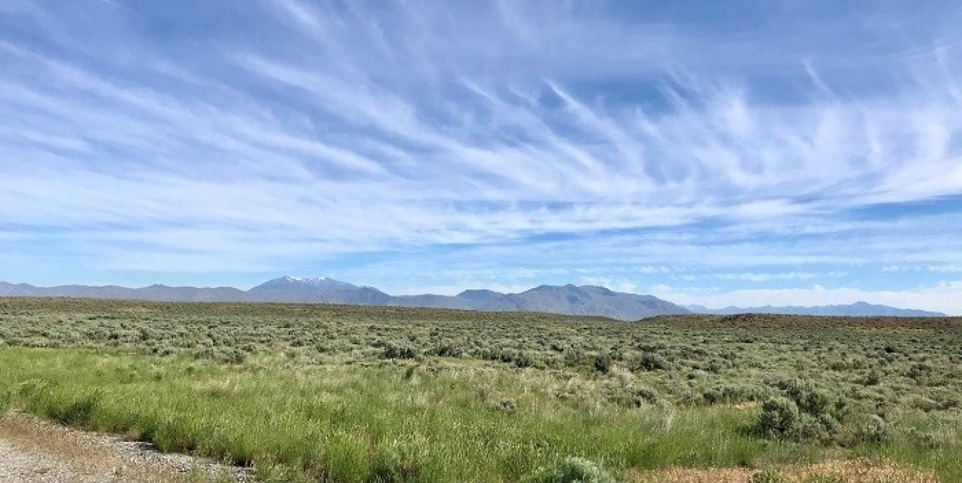 Sagebrush landscape with buttes in the distance