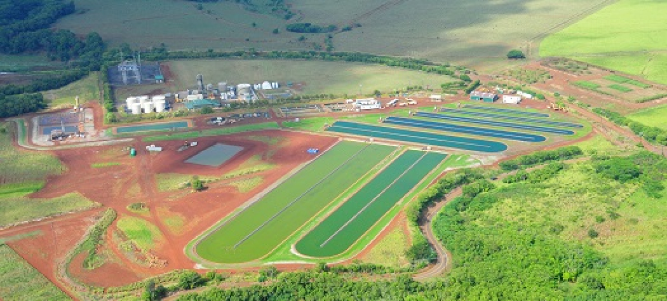 Kauai Algae Farm aerial view