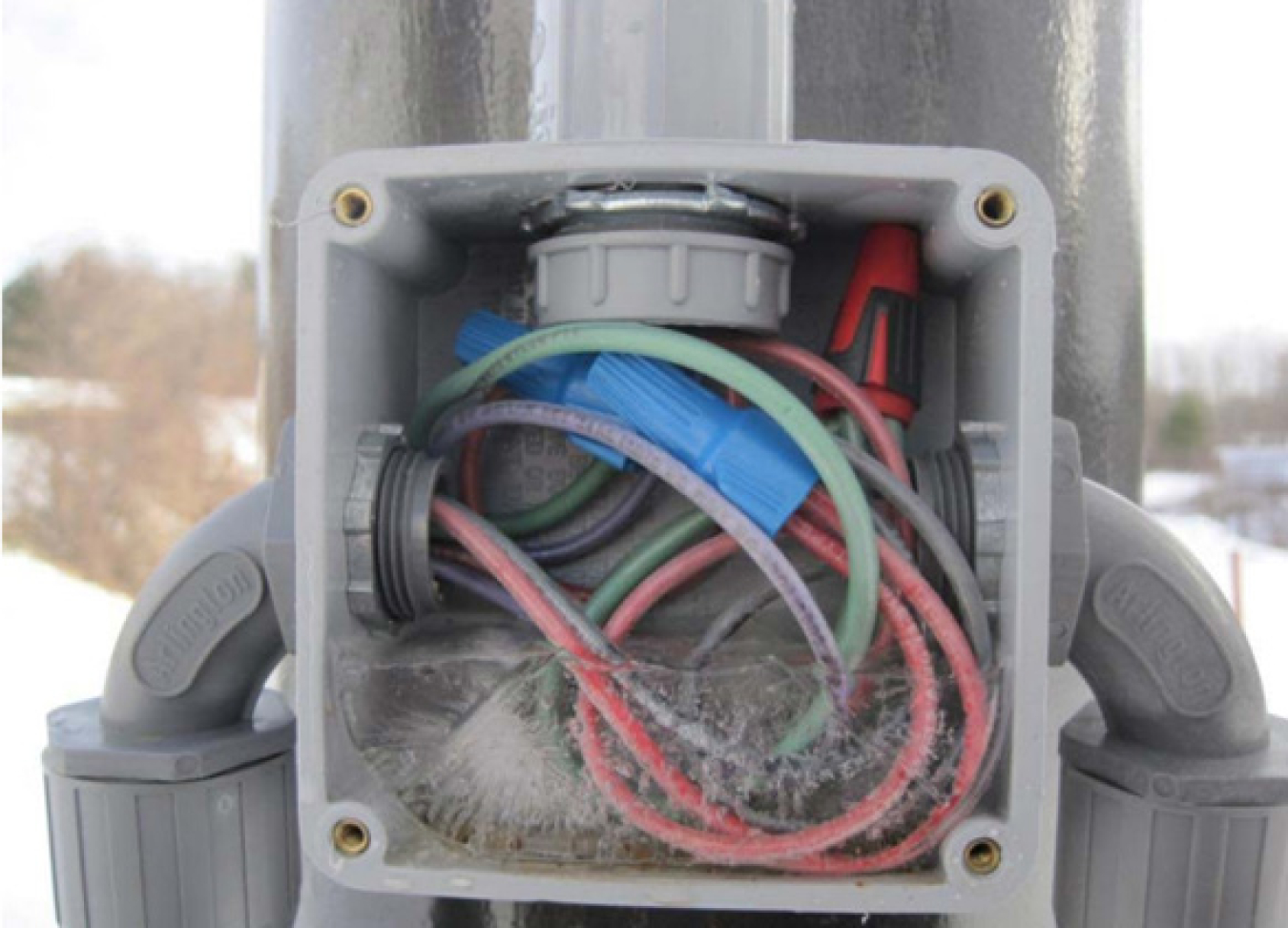 Frozen water in an electrical enclosure.