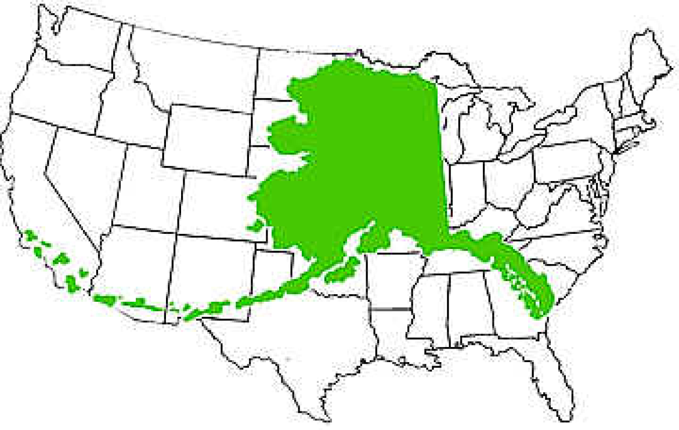 Alaska compared to the US