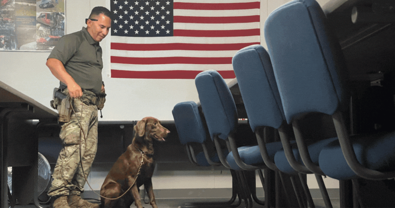 In this series of photos, K-9s Dee and Freda strike poses with their handlers, Hanford Patrol officers Manny Rodriguez and Dave Donovan, and take part in exercises where they sit to indicate to their handlers that they may have located explosive training aids.