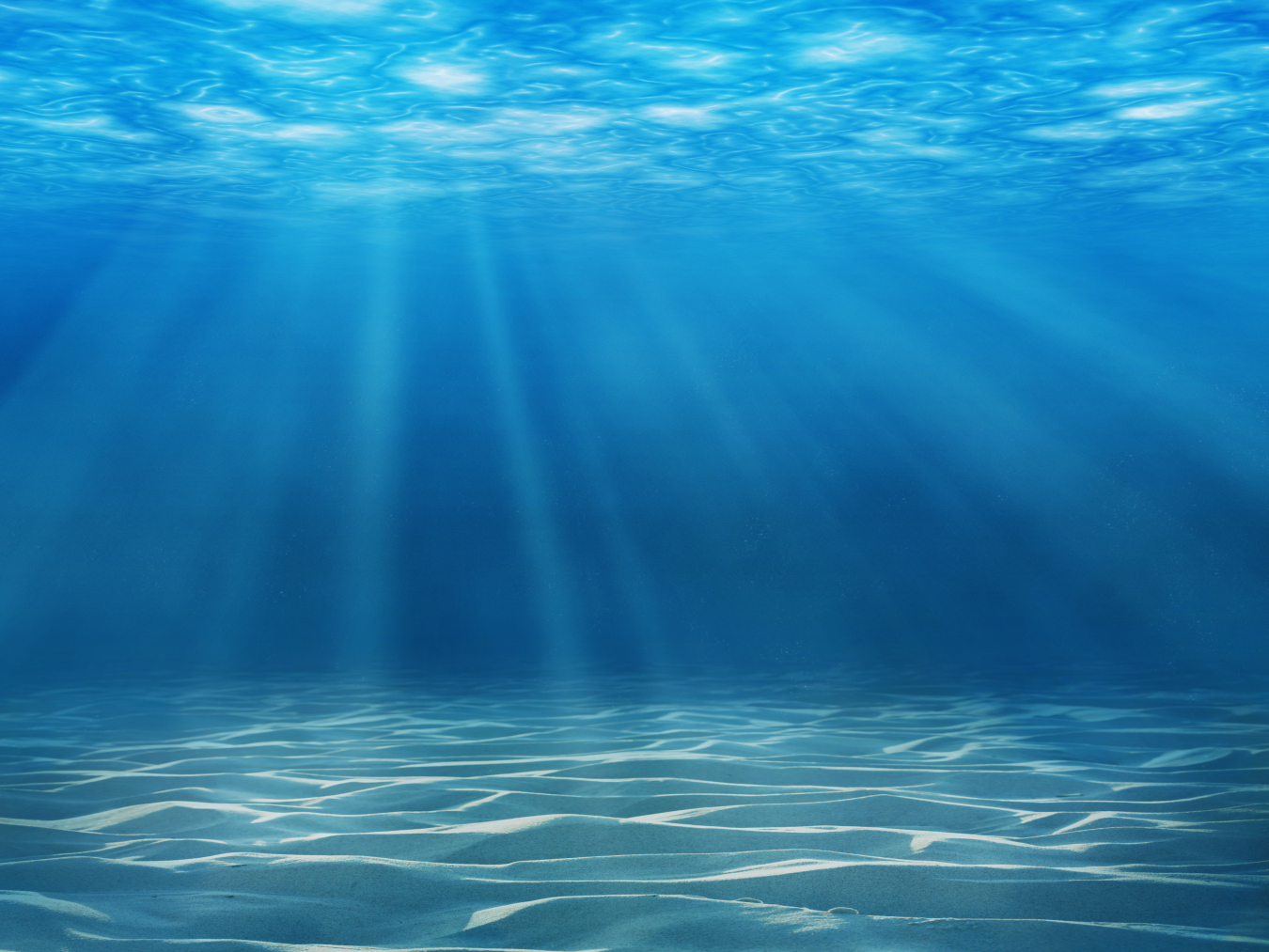 Alt Text: Rays of sunlight beam through an underwater view of the ocean.