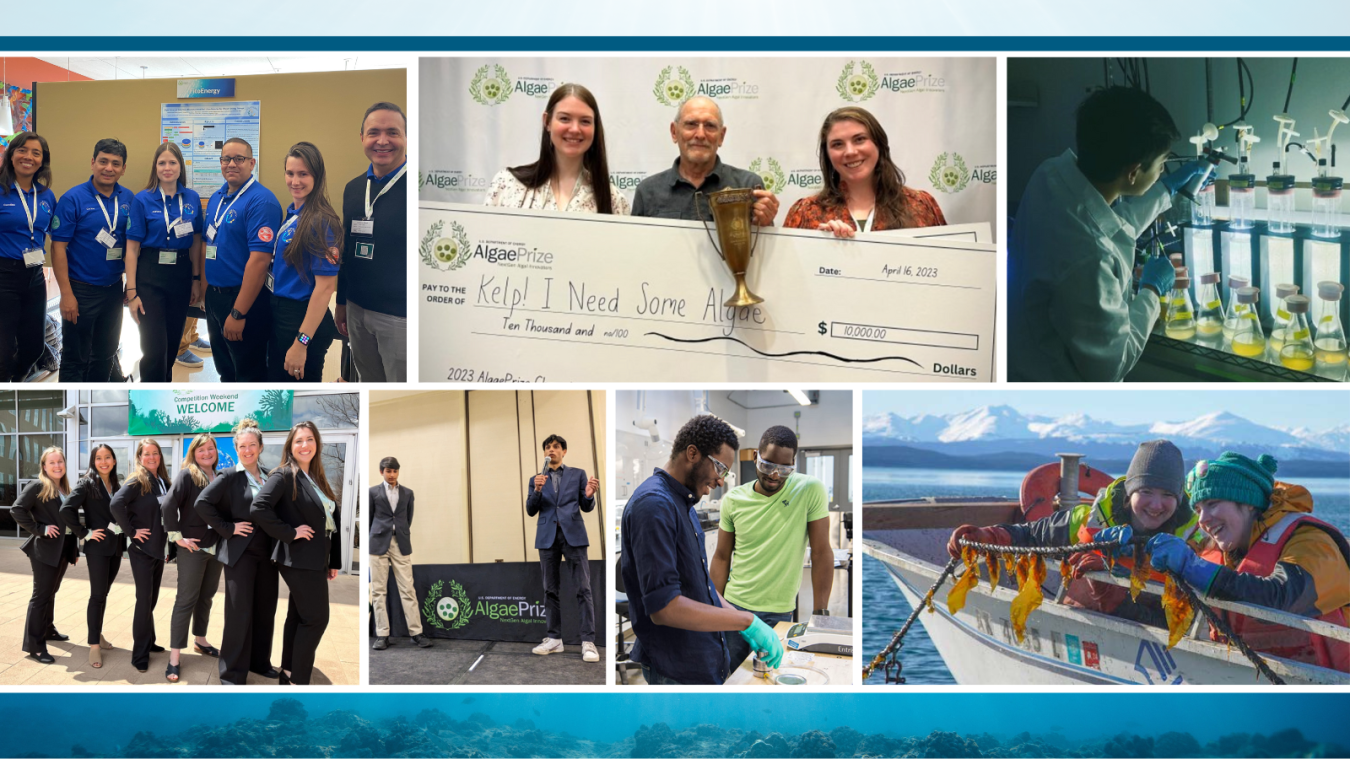 AlgaePrize Collage 24