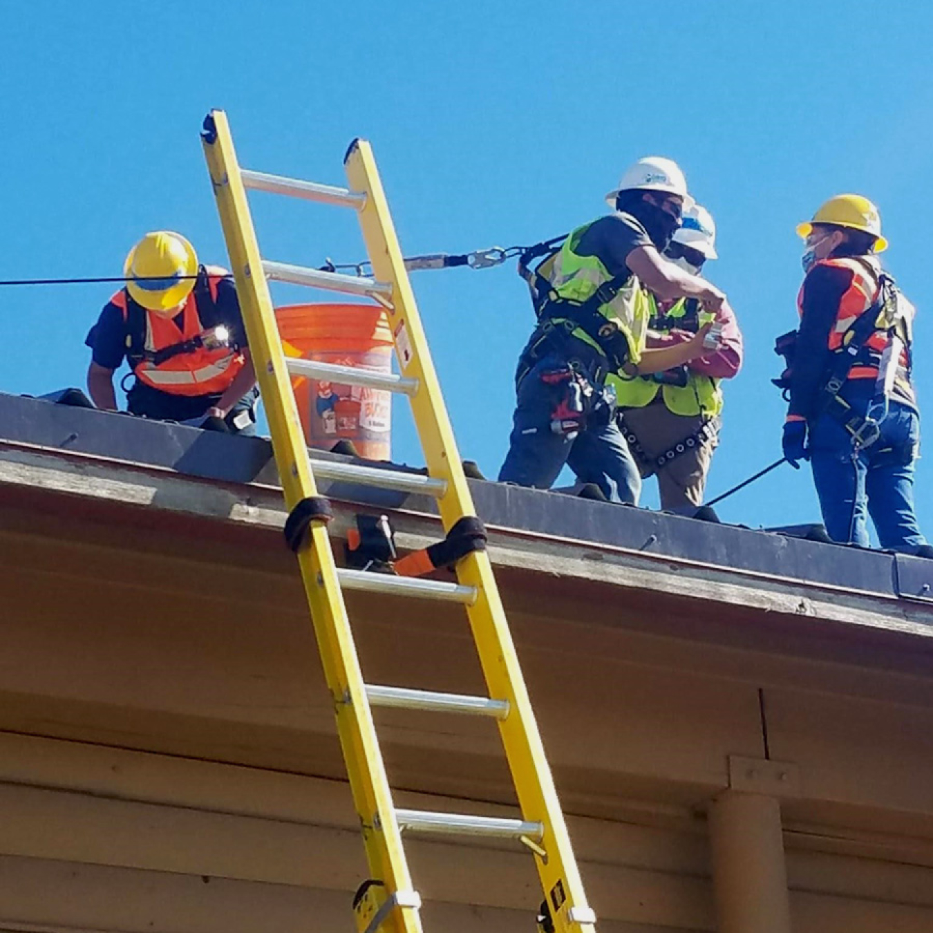 A ladder against a roof with construction workers in safety harnesses on the roof.