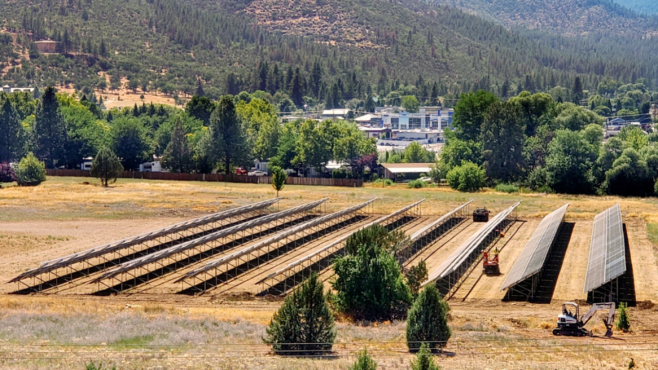 A solar array near a pine forest and mountainside.