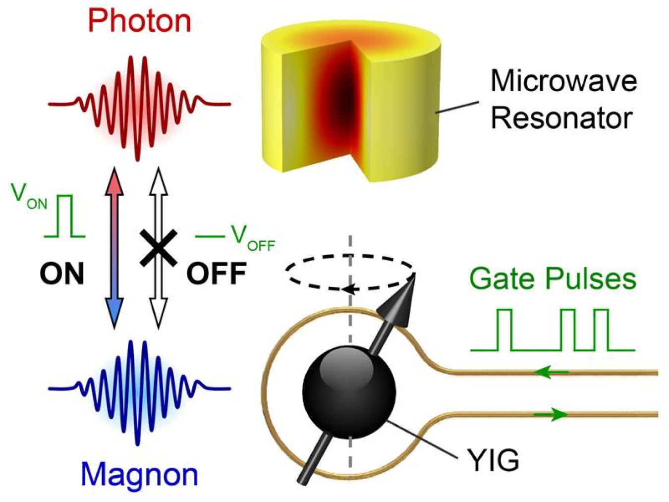 Gated coherent exchange between magnons (spin excitations) in a magnetic sphere (YIG) and photons in a microwave resonator of an electromagnonic device.