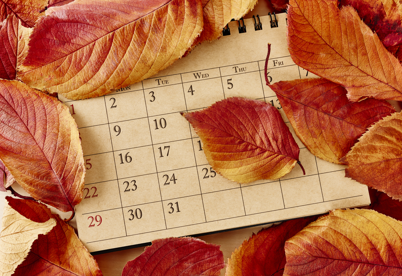 Fall Calendar 