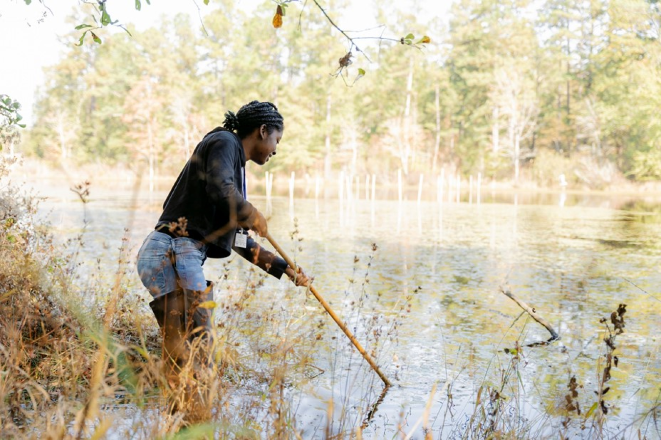 A student wades through a pond while holding a net