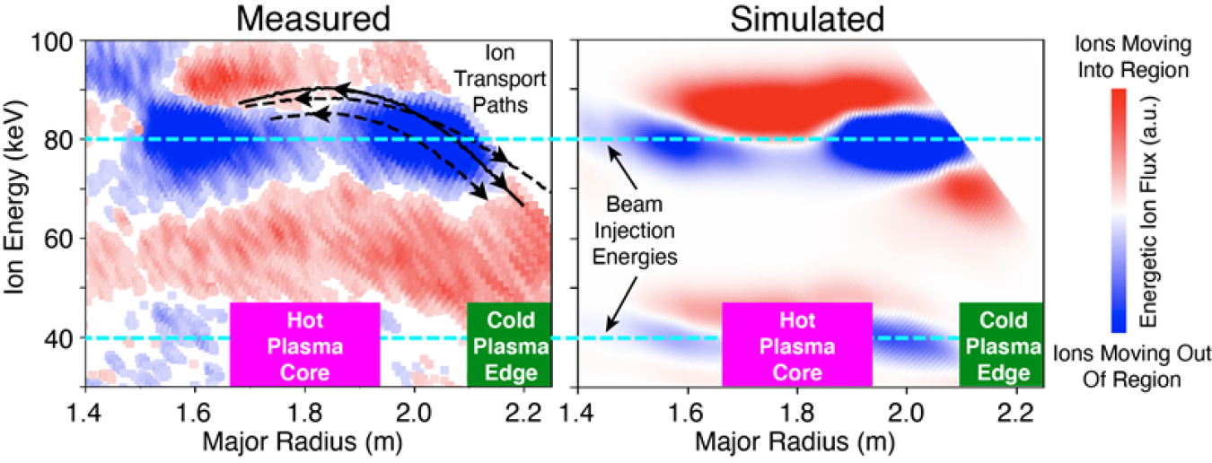 Measured (left) and simulated (right) energetic ion flow in DIII-D plasmas. Beginning at the injected energies of neutral beams, injected ions move in space and energy due to interactions with electromagnetic waves.