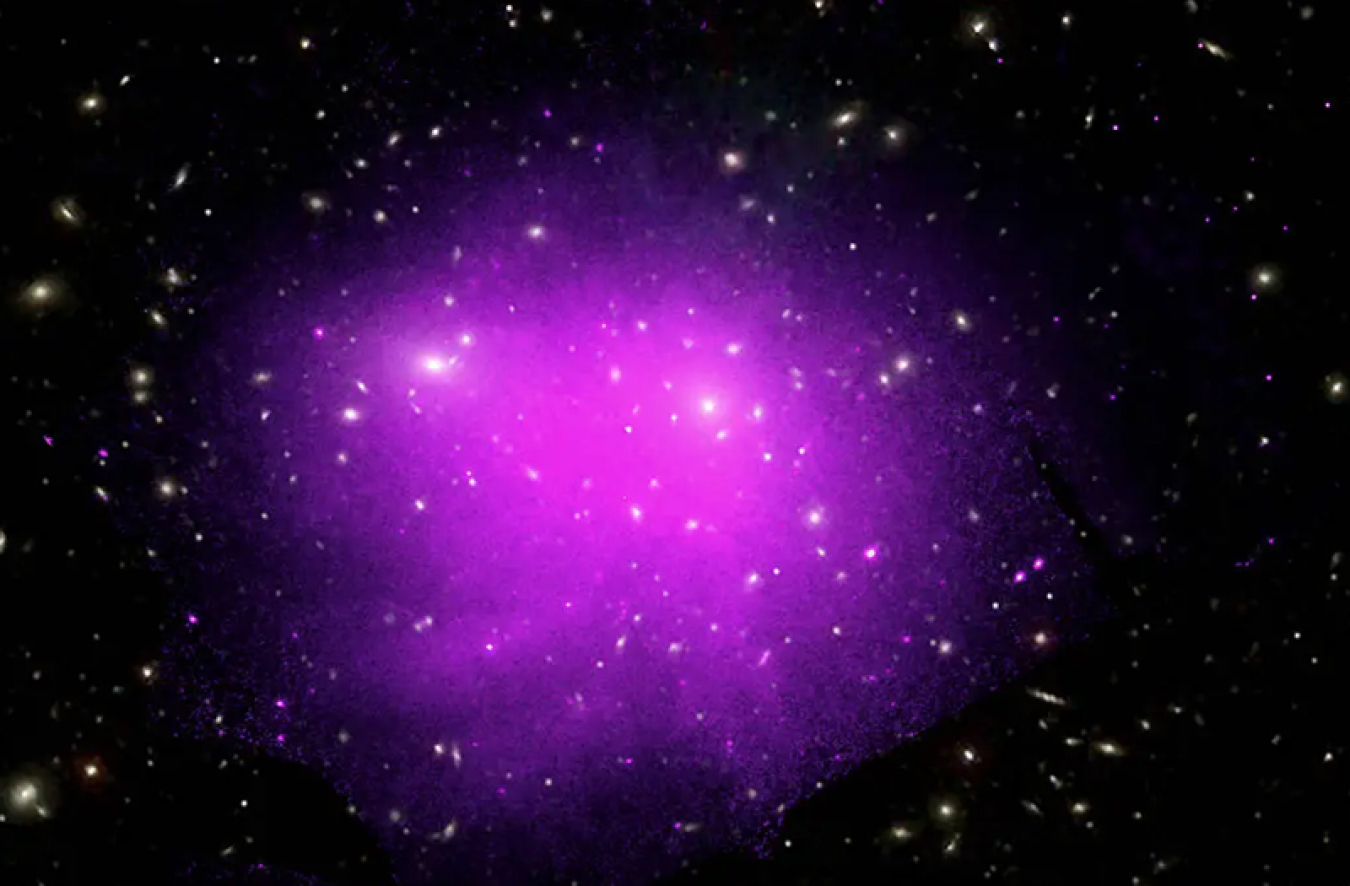 A field of galaxies of different shapes. There are far more clustered in the middle, which is further highlighted by a large magenta blob surrounding them.