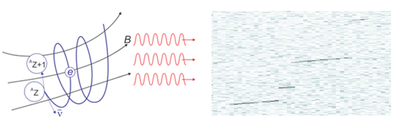 Electrons emitted in radioactive beta decay in a magnetic field create radio waves or microwaves, which are then picked up by antennas to learn about the decay process and the particles they produce.