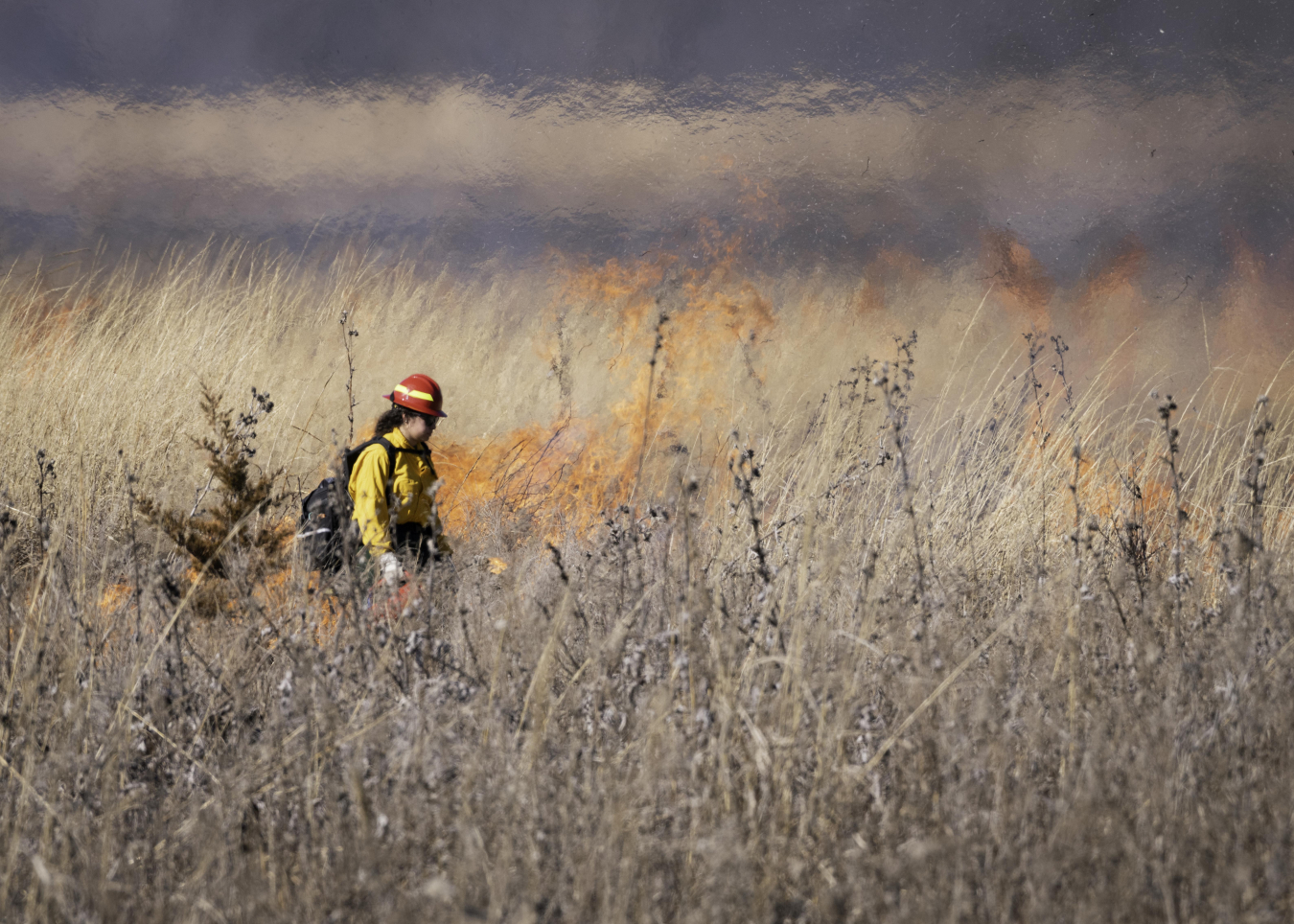 2024-01-31 Prescribed Burn