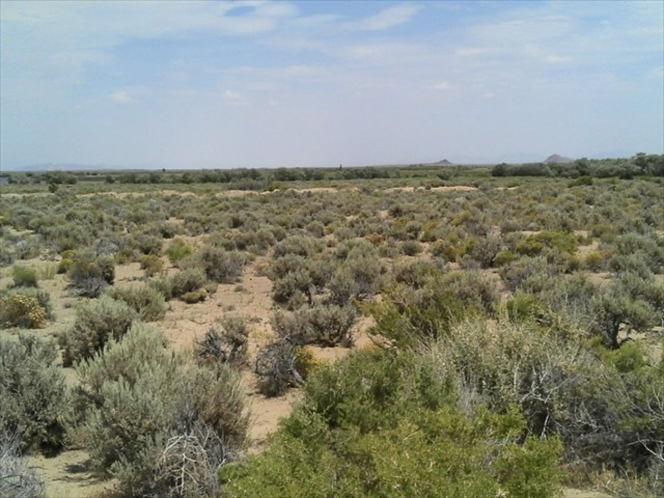 Desert landscape