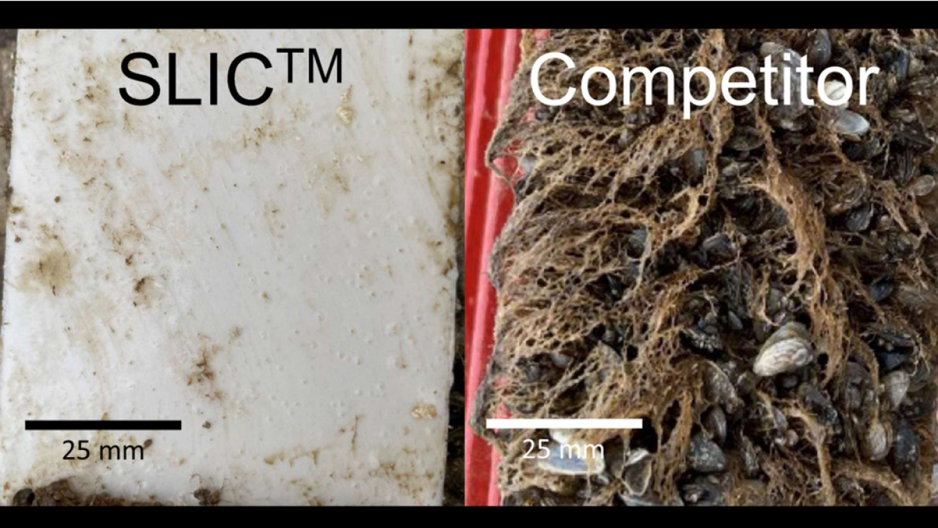 A comparison between a SLIC-coated sample and a rival antibiofouling coating shows a clean surface on the SLIC sample and large-scale growth on the competitor sample.