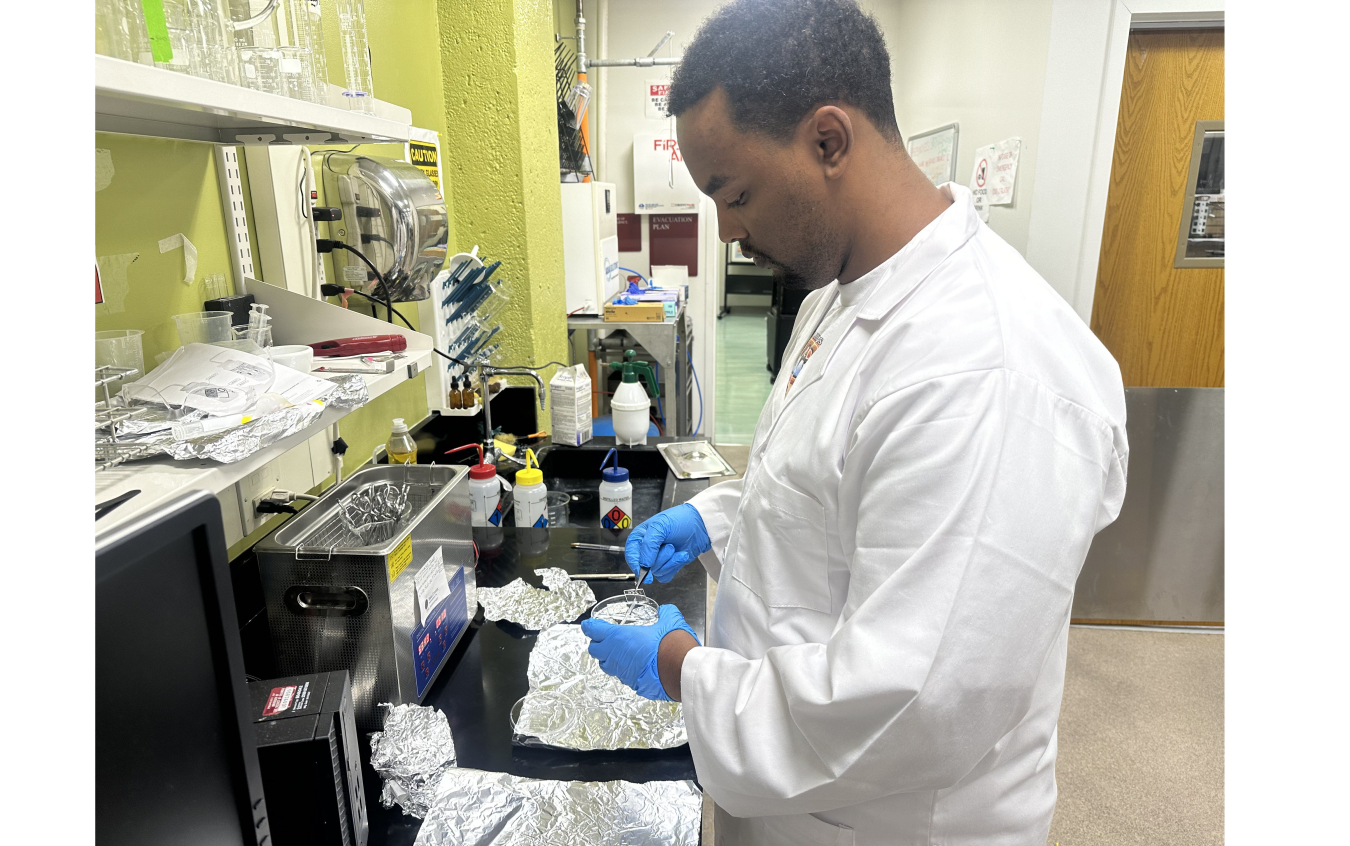 Tewelde Semere working in a lab