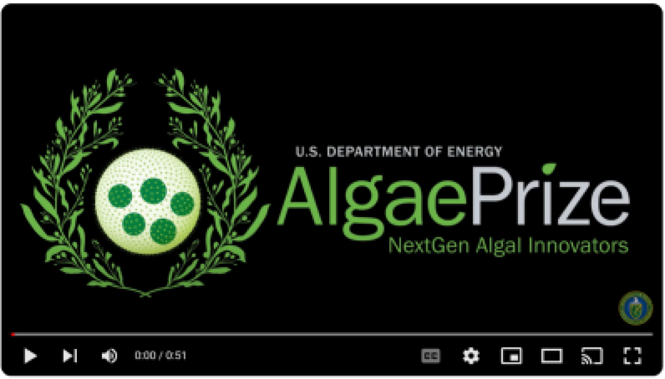 Screenshot of the AlgaePrize Competition 2022-2023 Highlights video