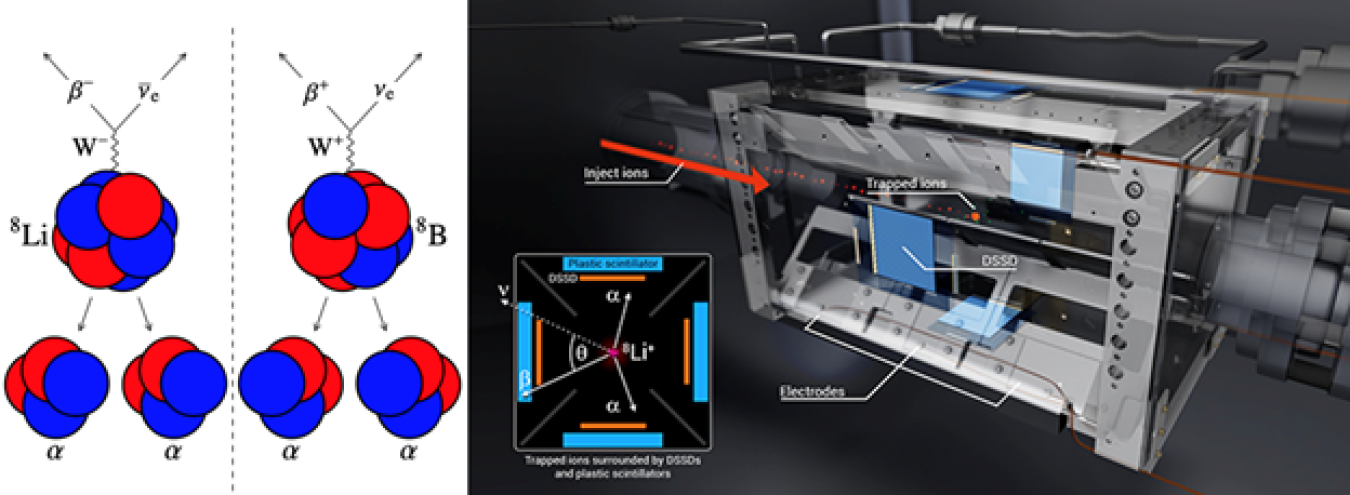 Left: “Mirror” nuclei lithium-8 and boron-8 undergo beta decay, then split into two alpha particles. Right: Radioactive ions from the ATLAS accelerator at Argonne National Laboratory are suspended in vacuum using an ion trap device.